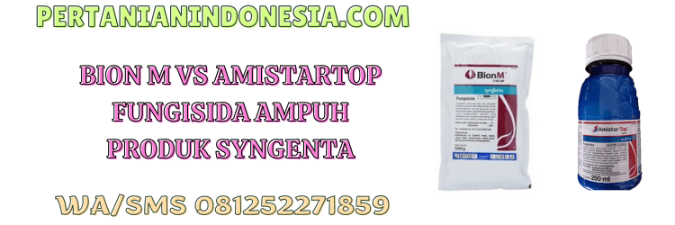 bion m 1/48 wp,amistartop 325 sc,syngenta,fungisida syngenta,pertanian indonesia